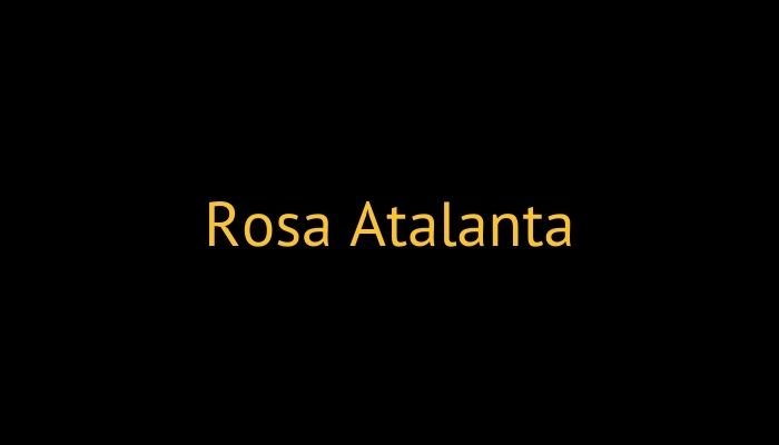 Rosa Atalanta