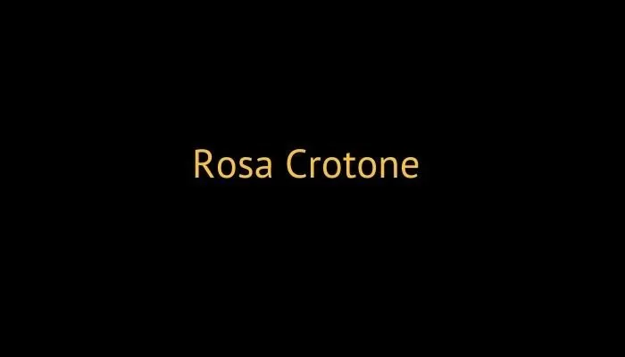 Rosa Crotone