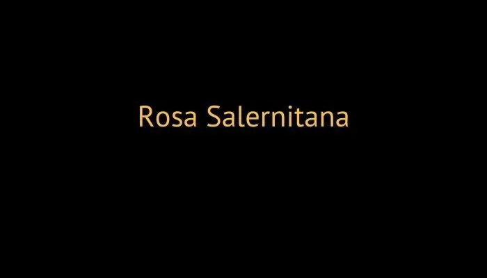 rosa salernitana