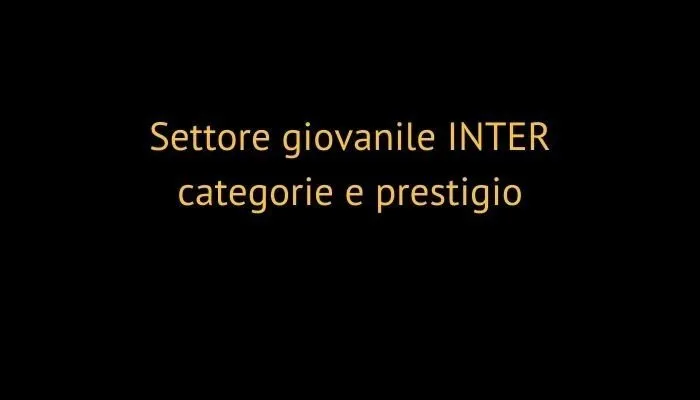 settore giovanile inter categorie e prestigio